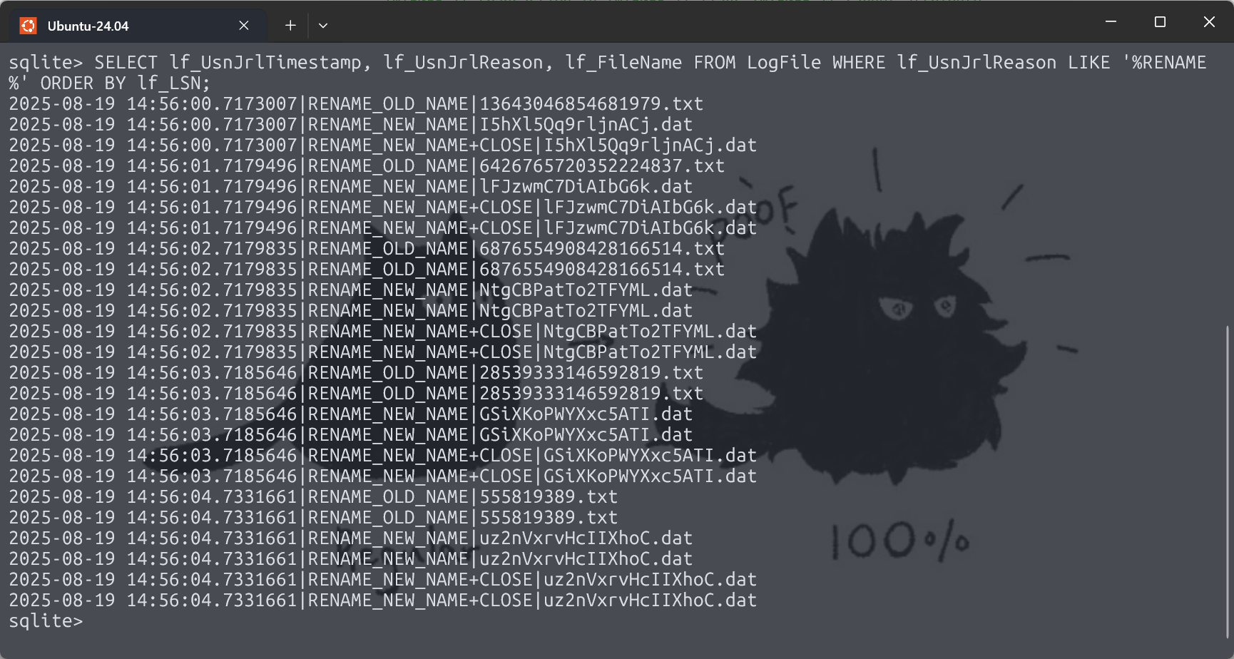 image-20251016135205570