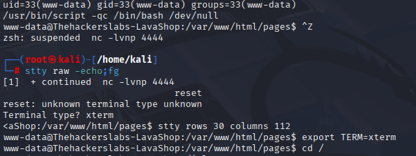 image-20251109151315564