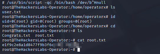 image-20251109223017224